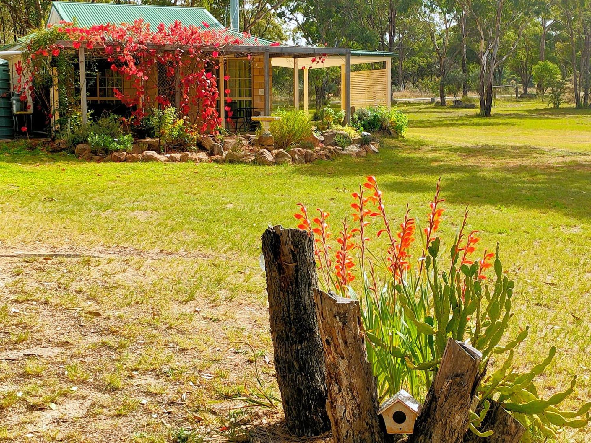 Severn River Cottages Severnlea Esterno foto